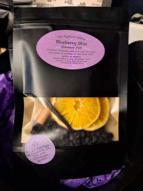 Blueberry Bliss Simmer Pot Kit