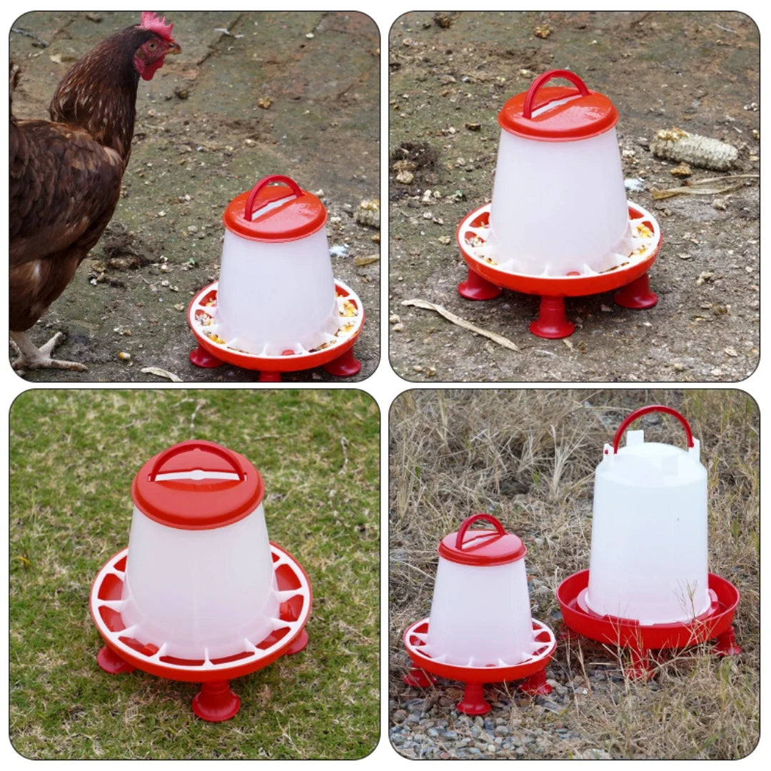 Chicken Feeder & Waterer Set (1.5kg / 3L Options)